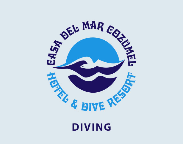 Diving by Casa del Mar